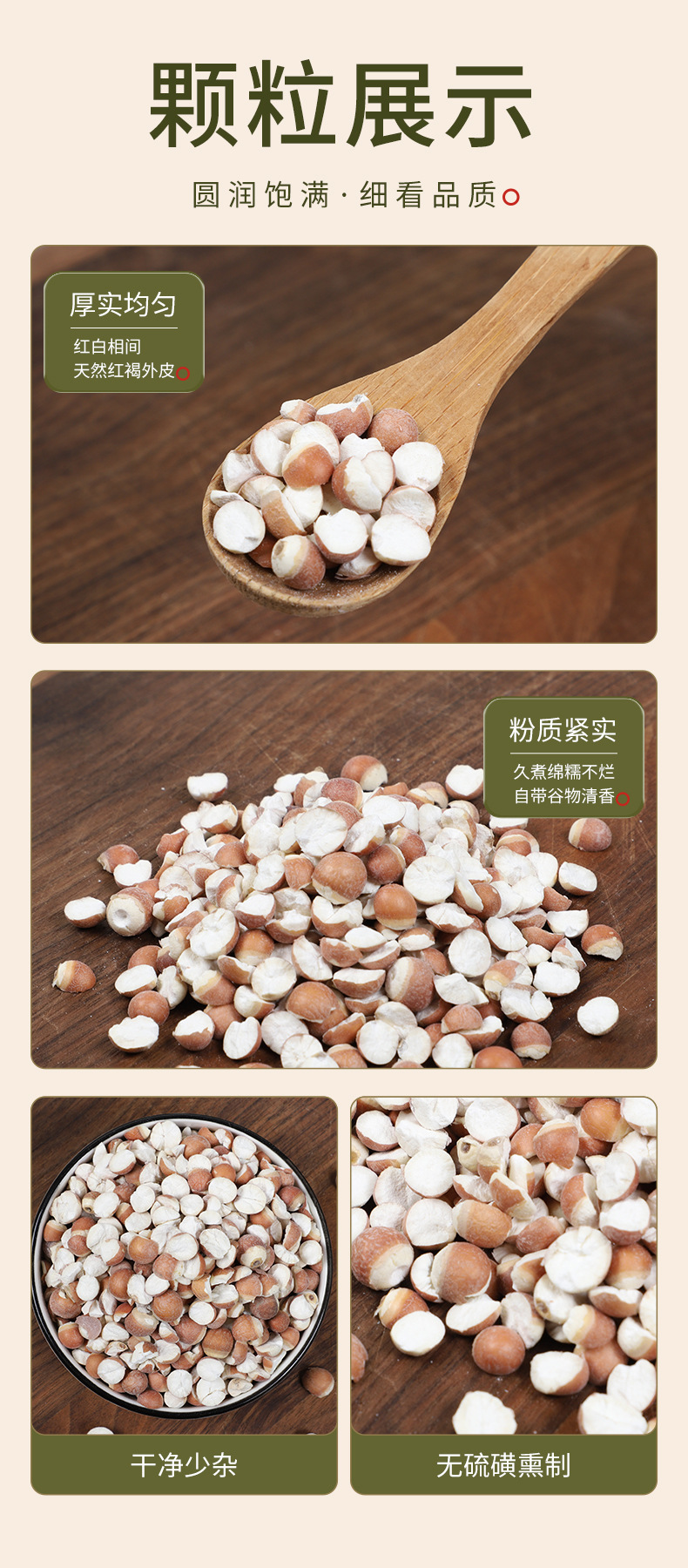 Organic Dried Gorgon Fruit Qian Shi 9mm Large Granules 500g Premium Red Skin Euryale Seeds quality and texture