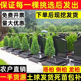 �ؘ���� ���� ����ɰ؂Ȱؘ���A���ɘ䌚����������G���ļ���