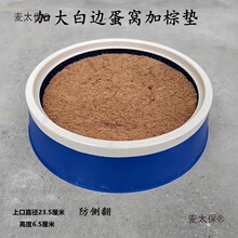 鸽子用品鸽子窝加厚塑料窝加大款式信鸽塑料巢盆鸽用具塑料麦太保