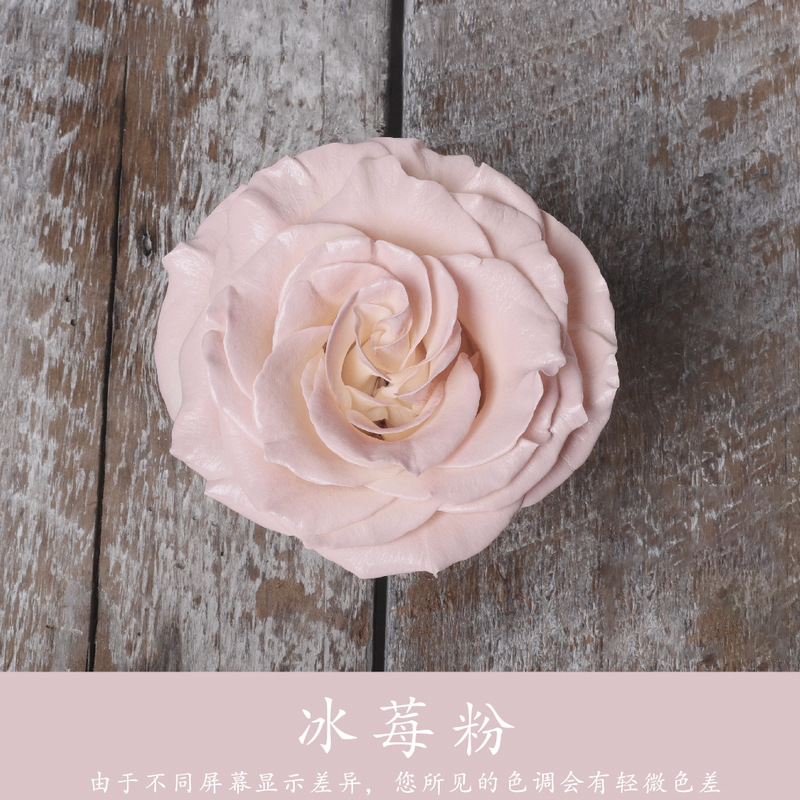 Xingle Iceberry Powder (480ml)