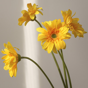 �ָб�����޾Ն�֧���滨���ɾ��r��С���¼ٻ��Ҿ�ܛ�b�zӰ���l