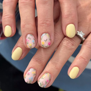 ���ļ�����С���OӋ�Sɫ���������׼�Ƭ��ָ���NƬ�ɐیW���L��