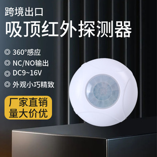 �羳�t��̽�y�����w�Ƅәz�y�t�⾀������������피t��Б��_�P
