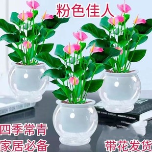 ��ˮ���؃r��ُ�����������҃ȑ���ֲ�������՚���ĳȩ�͏d�[�Ż�