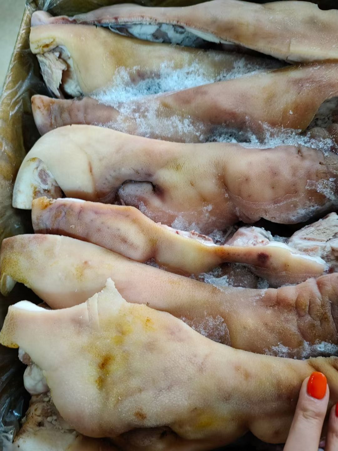 QQ图片20221019110348