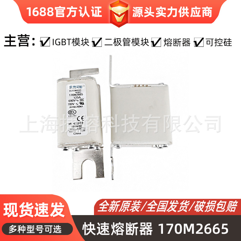 170M2665 170M2666 170M2667智能快速熔断器 全新原装 现货直发