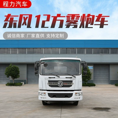 Dongfeng D9 12-Ton Sprinkler Truck 30m Fog Cannon Truck Multi-Functional Spray Truck for Municipal Sanitation and Garden Dust Reduction