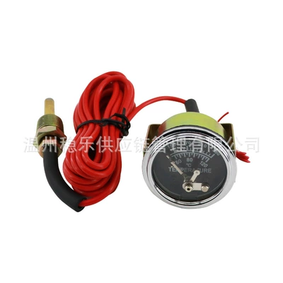 Wenle Instruments — automobile instrument