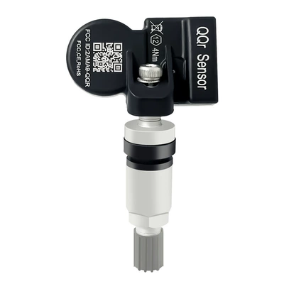Tire pressure monitoring system – Envision, and Mini Models