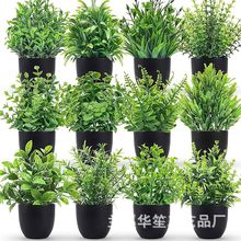 XT���R�d���N��������С�辰����Gɫ�ȼ�������ֲ��С�[������