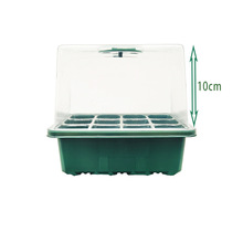 12����������P���{��͸���w���ⲥ�N�������������׷Nֲ�����бP