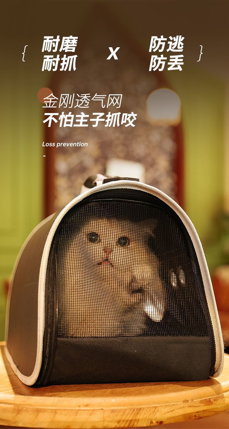 e561e425-e924-4d84-b0ef-3e3ce757dce4.jpe