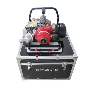 ��ؓʽɭ����������WICK-250A�����ø߉��x��ʽˮ��������