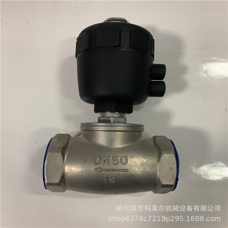 DN50进气气动阀 (5)