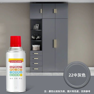 chameleon self-painting hand-cranked paint: Avtomobil boyası - environmentally-friendly-and-odor-free-22medium-gray-350ml-spray-paint
