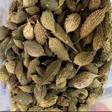 ��ɽ��ϡ����������خaɽ���Ұ����r��ɽ���Ƭ���݃���