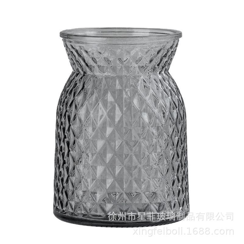 Vaso de vidrio retrógrado europeo en forma de jarro de doble oreja transparente hidropónico francés ramo de flores frescas secas adornos domésticos de gran calibre