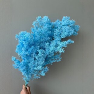 ������������R���滨���������Ҿ��b�ins�L��YDIY���Ŀ羳���l