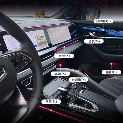 Grand Koleos Monjaro, Panel (Dashboard) işıqlandırması
