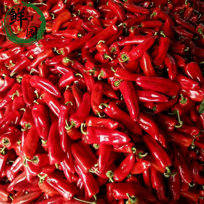 fresh Red Hot Chili Peppers bright red Pepper Red pepper Glutinous rice Pepper Duojiao Peppers chili patse Vegetables wholesale