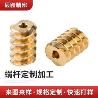 0.6大模数铜金属ZI型定制微型黄铜精密蜗杆蜗轮电机轴用厂家批发