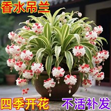 ����ļ��ɷN������ˮ���͵��m�N���̨�ͺ�����B���Ի����_��