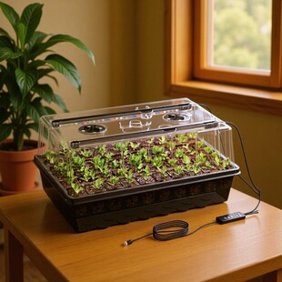 2026����ˮ60Ѩ�¿�����������������R�d���uֲ������N���b���r