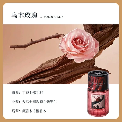 Light Luxury Car-Mounted Spray Aromatherapy Car Perfume Aromatherapy - ebony-rose
