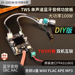 1001W-DIY версия моно 100 Вт модуль платы аудиоусилителя Bluetooth TWS true wireless TPA3116