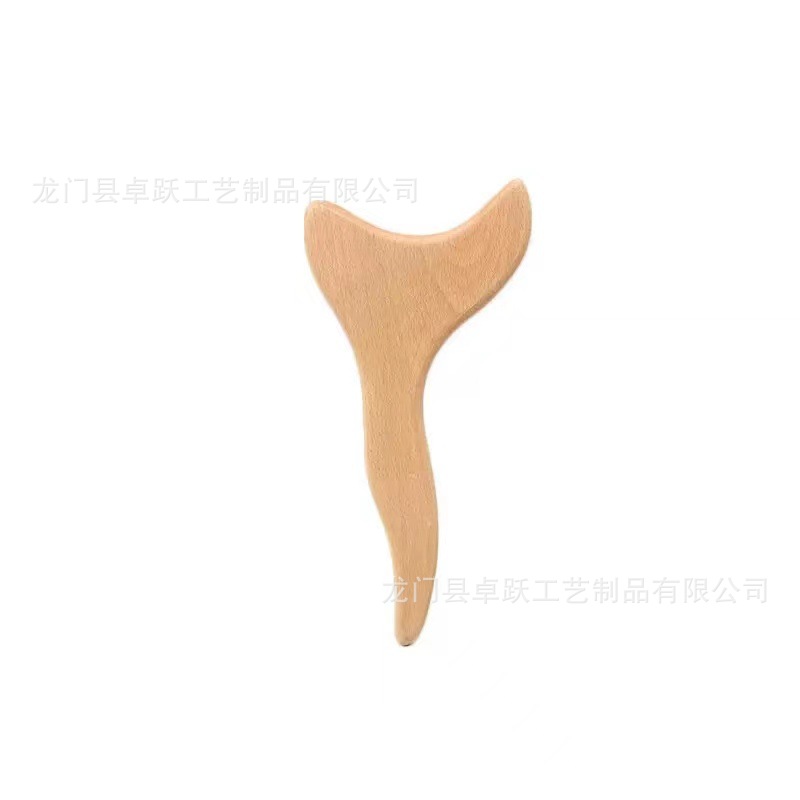 너도밤나무 뾰족한 대형 피쉬테일