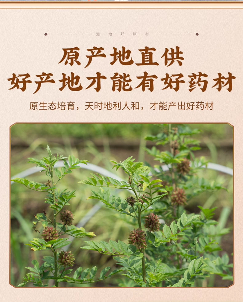 Psoralea Fruit Bu Gu Zhi Dried Herb 500g Traditional TCM Kidney Yang Support Decoction Ingredient key features