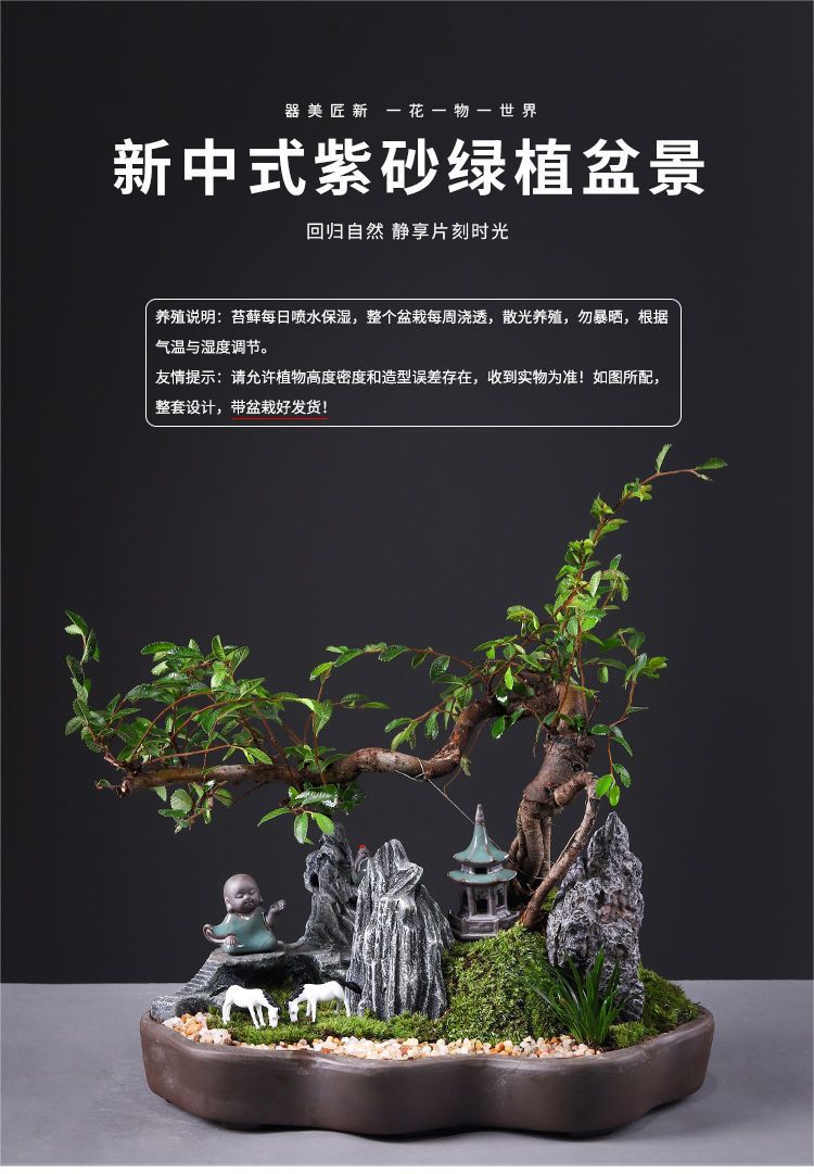 详情图