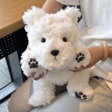 �������ߵ�С����ż���й������᲼����ë�q���˯�X�Y����Ů����