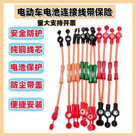 电动车电池瓶国标连接线带保险盒短路过压断电保护纯铜芯电瓶车
