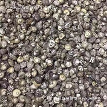 精挑肉厚小花菇炖汤小花菇 小香菇 蘑菇精挑干香菇 花菇干货包邮