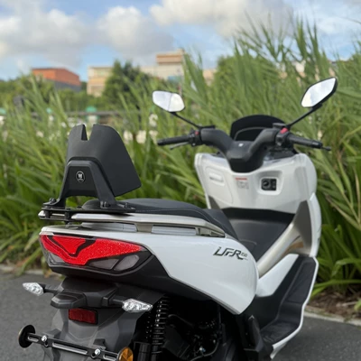 Backrest and Rear Passenger Lumbar – Motorcycle tail