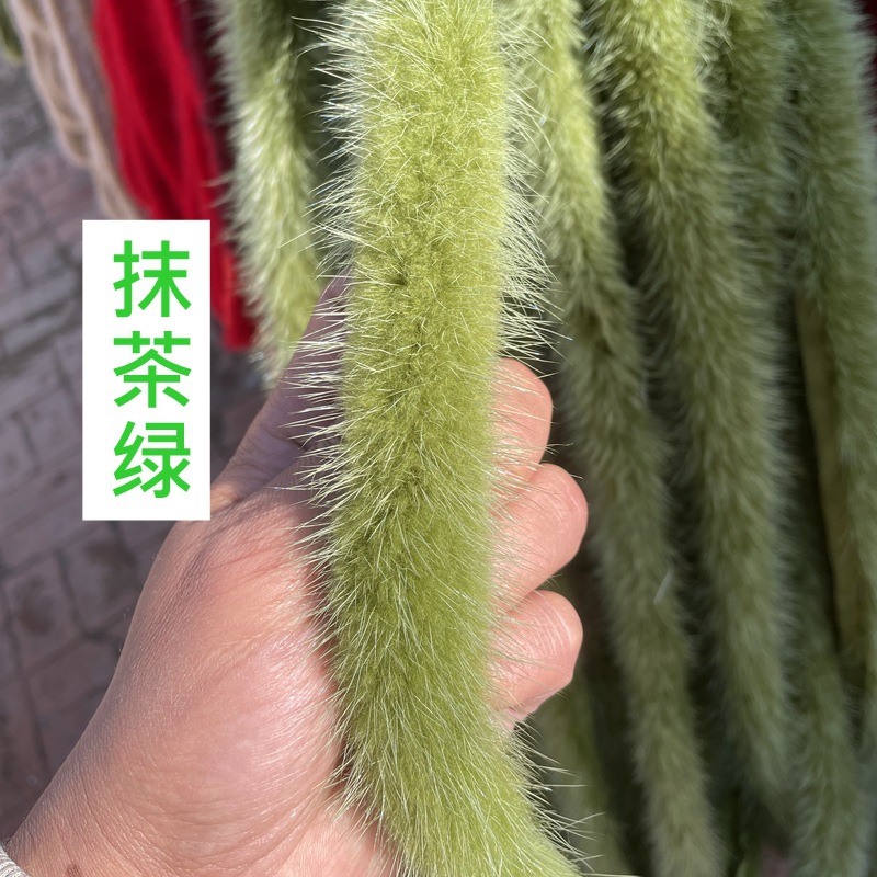 IMG_5362_副本.jpg