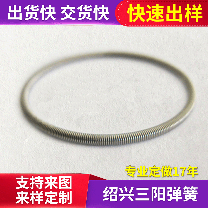 厂家供应油封弹簧 骨架密封环形弹簧 不锈钢压缩油封弹簧