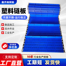 厂家塑料链板传送带耐高温食品包装流水线输送带耐磨模块塑料网带