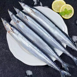 软体类;鱼类;贝类