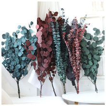 �������ȼ����~ ͩ�X�� ����~�ɻ����~���滨�b�Ʒ������l