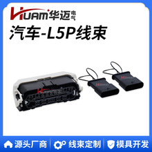 Huam �A�~ L5P CAN�������^�m���Duramax ����2020-2022L5P����