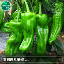 ƷNNཷKNݽzNֲ߲˷NݷNȫ