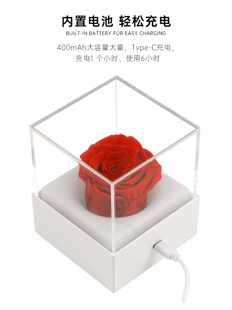 永生花夜灯_09.png