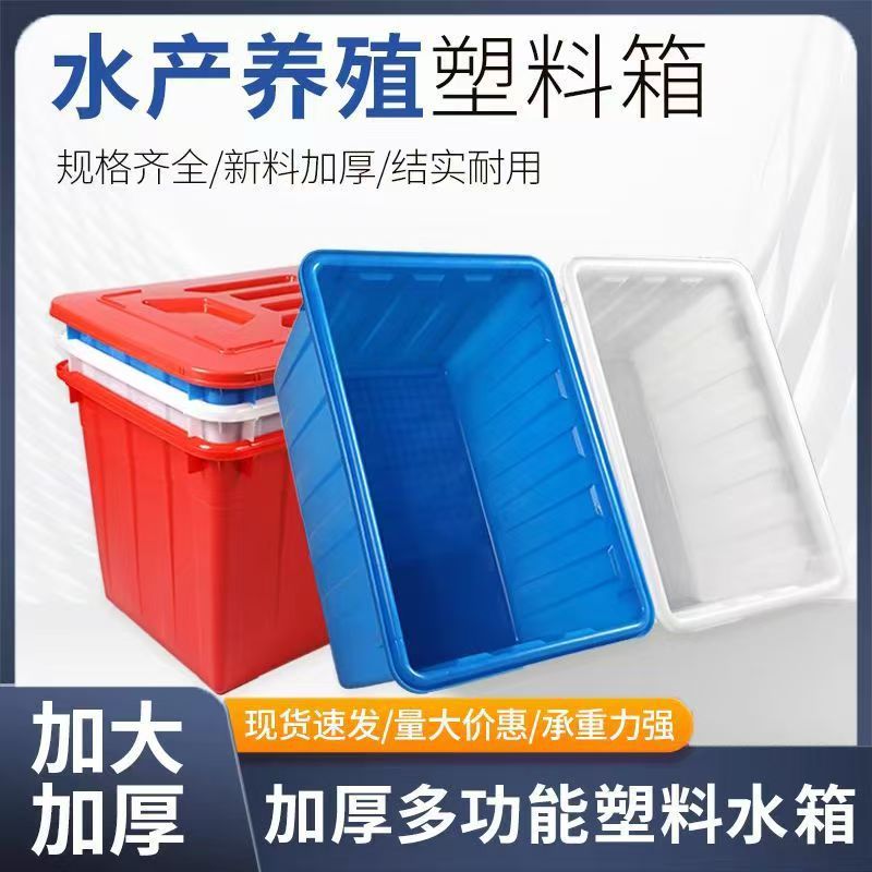 带盖周转塑料水箱收纳盒筐框大号长方形水产养殖养鱼养龟龙虾螃蟹