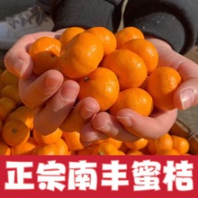 南豐蜜桔當季新鮮水果小橘子皮薄現摘現發精品禮盒裝非砂糖橘