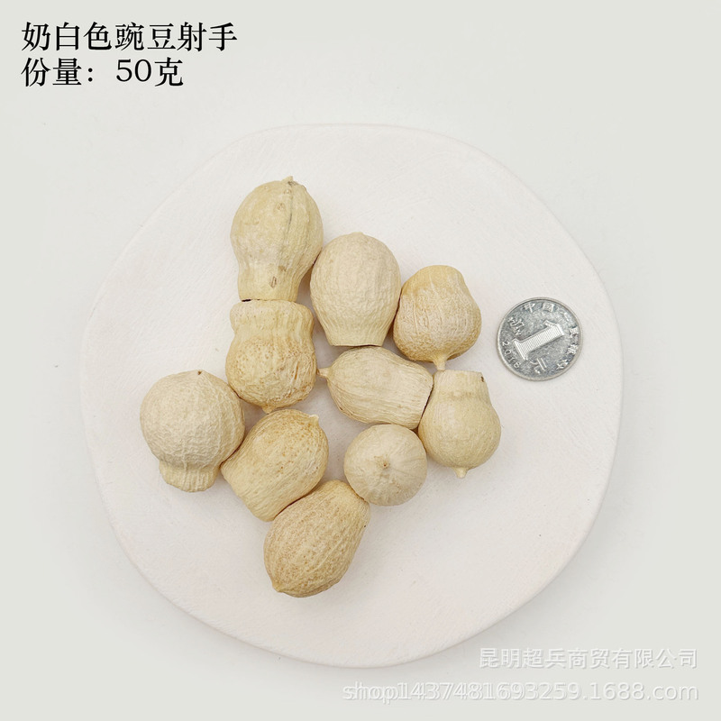 【各种果实类干花】圣诞果实类装饰品干花干果香薰蜡烛DIY橡果精|undefined