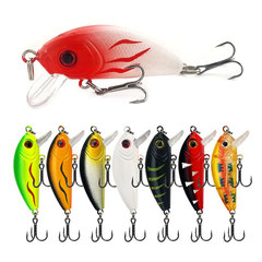 Surface micro creature short-tongued minnow Mooneyea Mooney hard lure multi-color largemouth bass plastic imitation fishing lure wholesale