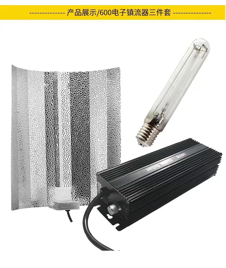 微信图片_20230204102049