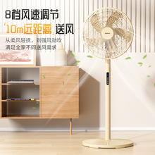 厂家定制电风扇家用英文落地扇东南亚摇头遥控立式跨境外贸电风扇